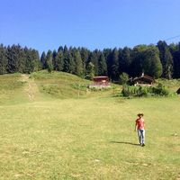 Hameed Mufeez的照片