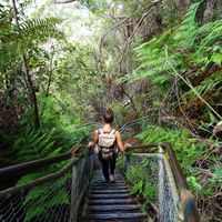 Marie Fournier的照片