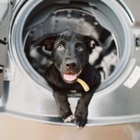 Sukanya Konglerd's Photo