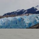Bilder von Grey Glacier Trek