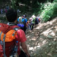 Fotos von Amir Parsa