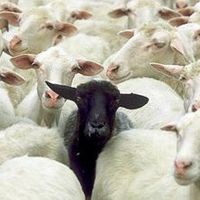 Фотографии пользователя Ria B