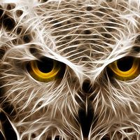 cloub Monte Negro's Photo