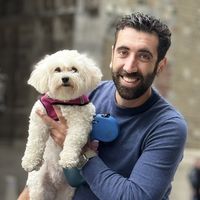 Dawoud Eskandari's Photo