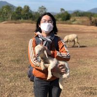 Photos de LêNhi Yến