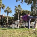 Seaside Yoga's picture