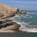 Playa Boca Del Lobo's picture