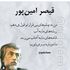 Zahra Ghorbani's Photo