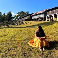 Divya Hasti的照片