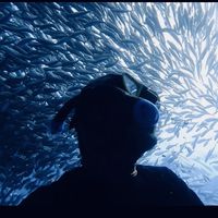 Rinaldi Reza's Photo