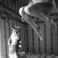 Fotos de Souryadeep Da