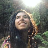 Paula bailey的照片