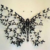 Tina Hristova's Photo