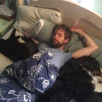 Stephen Johnson's Photo