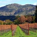 Road Trip Around The Bay Area 's picture