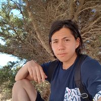 Fotos von Tommy Palmér