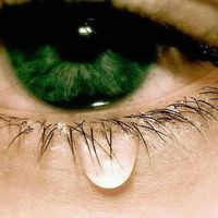 Hasnoun Mohamed's Photo