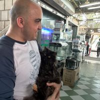 Ahmed  Tayseer的照片