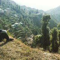 Anish Kumar的照片