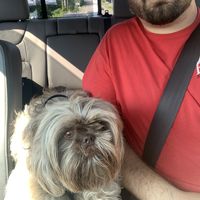 Fotos de Aaron Ciupka