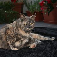 Elisa Bottega's Photo