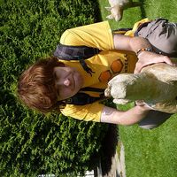 Miha Guštin的照片