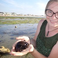 Hannah  Cheetham's Photo