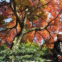 Ann Anuchachart's Photo