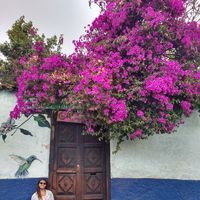 Andrea Curci的照片