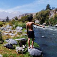 Diego Milenko Vega's Photo