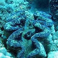 Marc Bundler的照片