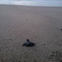 giulia croci的照片