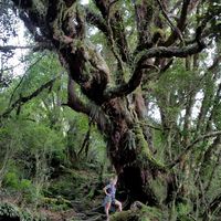 Fotos von Sophia Winkler-Schor