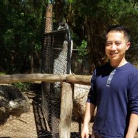 Фотографии пользователя Yuan Tang