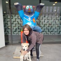 Fotos de Dörte Nieschant