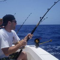 Mark Culotta的照片