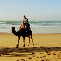 Carlos Sifuentes的照片