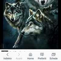 Andres Alvarado的照片