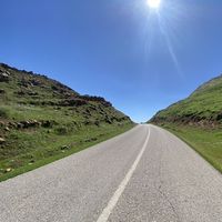 Misagh Askari的照片