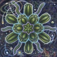 Yalda Hamidi的照片