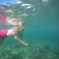 Artha Ukurta的照片