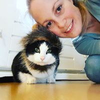 Fotos de Annet Geerlig