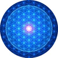 sImon Thomson's Photo