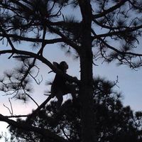 Trinity Reece's Photo