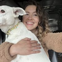 Clementine Foxglove的照片