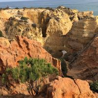 Benjamin Tondellier's Photo