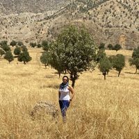 Le foto di Nafiseh Mohebi