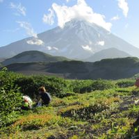 Andrey Nevolin's Photo