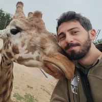 Sezer Kılıç's Photo