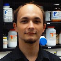 Marcin Ziemniak的照片